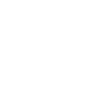 STUdio Viva - Logo negativo horizontal
